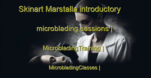 Skinart Marstalla introductory microblading sessions | MicrobladingTraining | MicrobladingClasses | SkinartTraining-Sweden